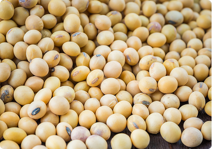 Soybeans